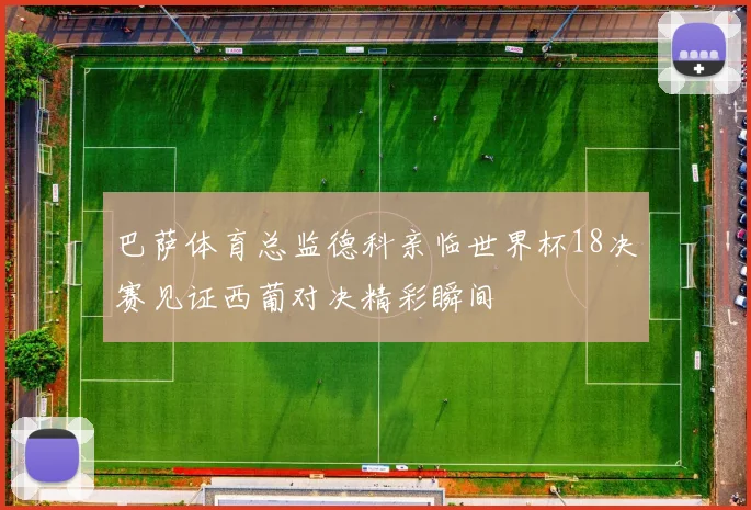 巴萨体育总监德科亲临世界杯18决赛见证西葡对决精彩瞬间